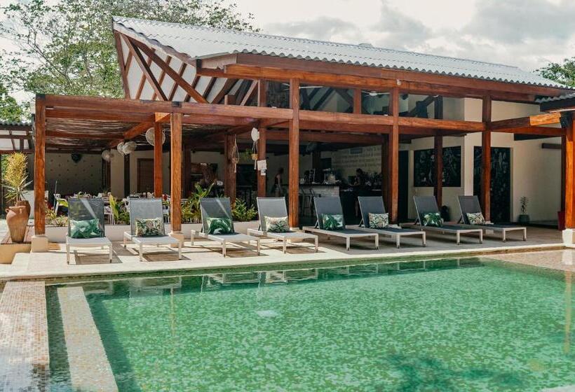 酒店 Catalina S Hideaway