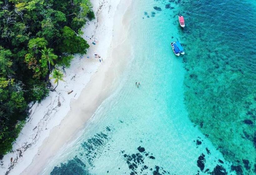 酒店 Catalina S Hideaway