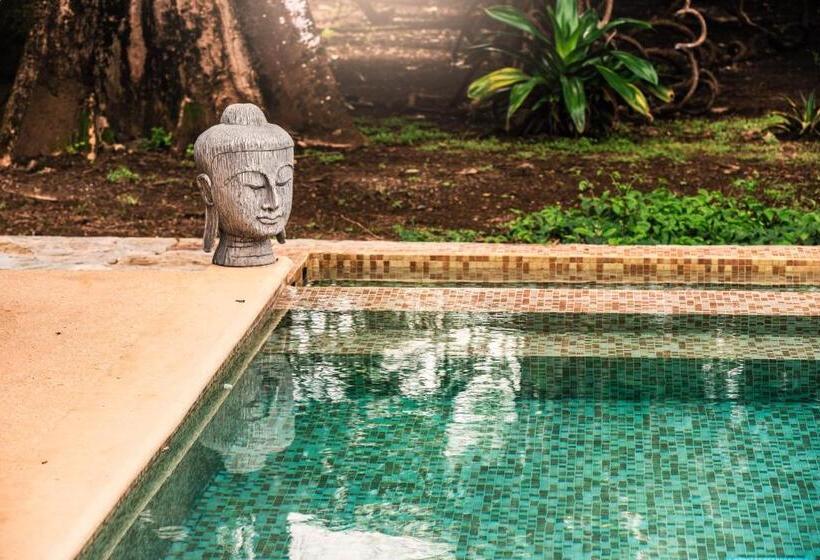 酒店 Catalina S Hideaway