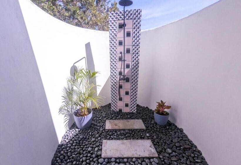 酒店 Catalina S Hideaway