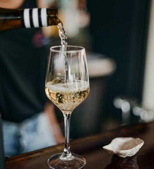 酒店 Catalina S Hideaway