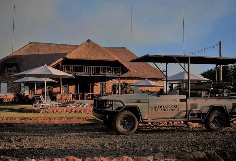 ホテル Morakane Safari Lodge
