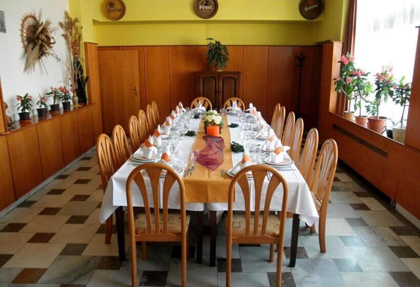 בית מלון כפרי Vysocina