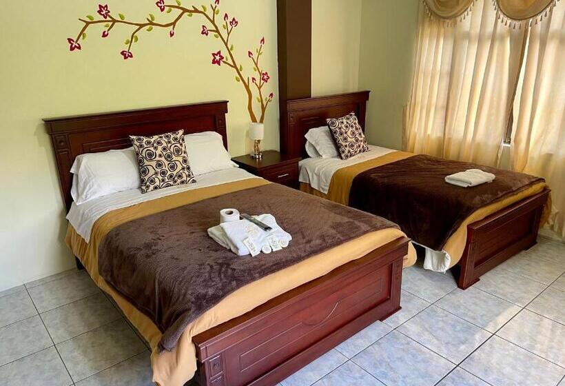 膳宿费 Casa Santa Lucía