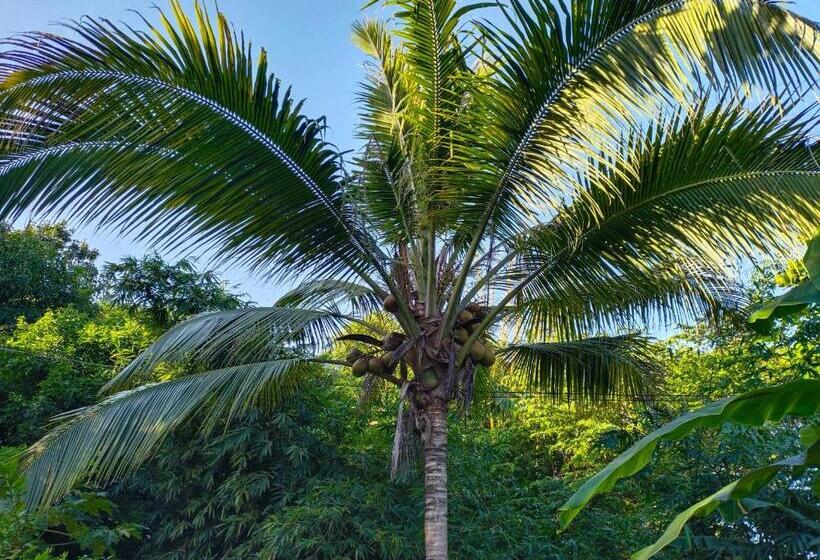 ペンション Mivals