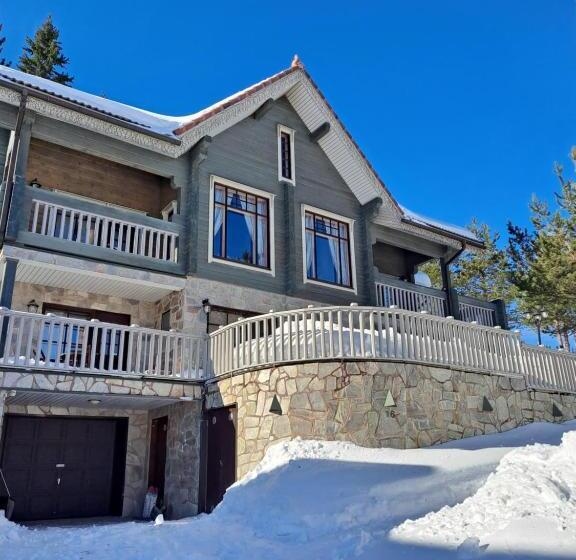 פנסיון Tahkonhovi Golden Chalet