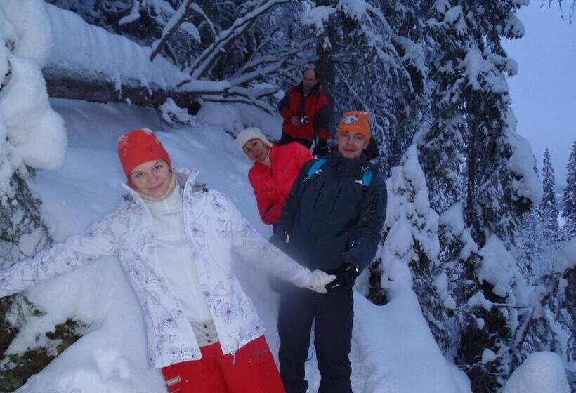 פנסיון Tahkonhovi Golden Chalet