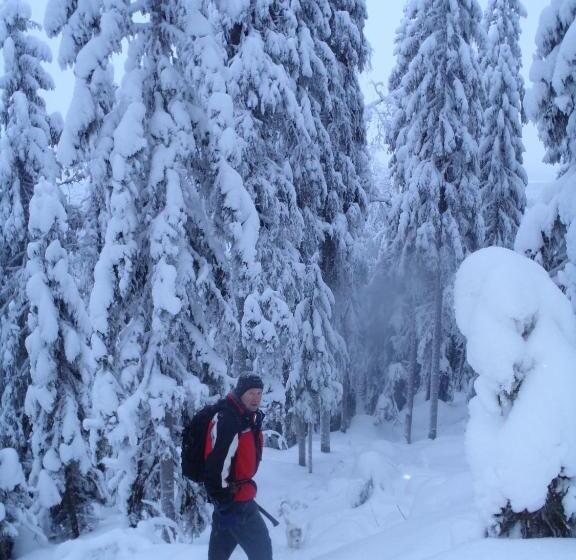 פנסיון Tahkonhovi Golden Chalet