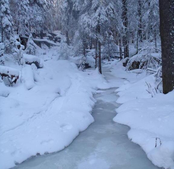 פנסיון Tahkonhovi Golden Chalet