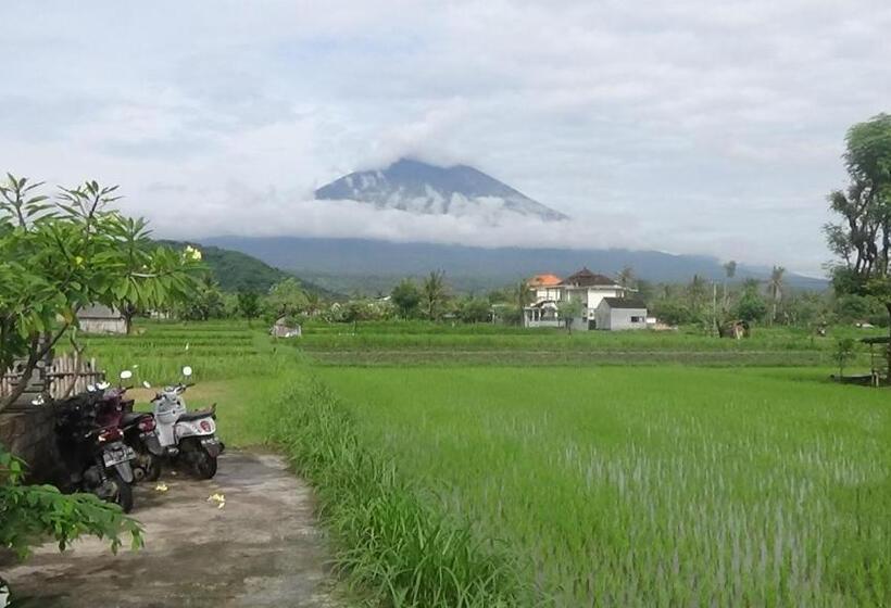הוסטל Agung Inn Amed