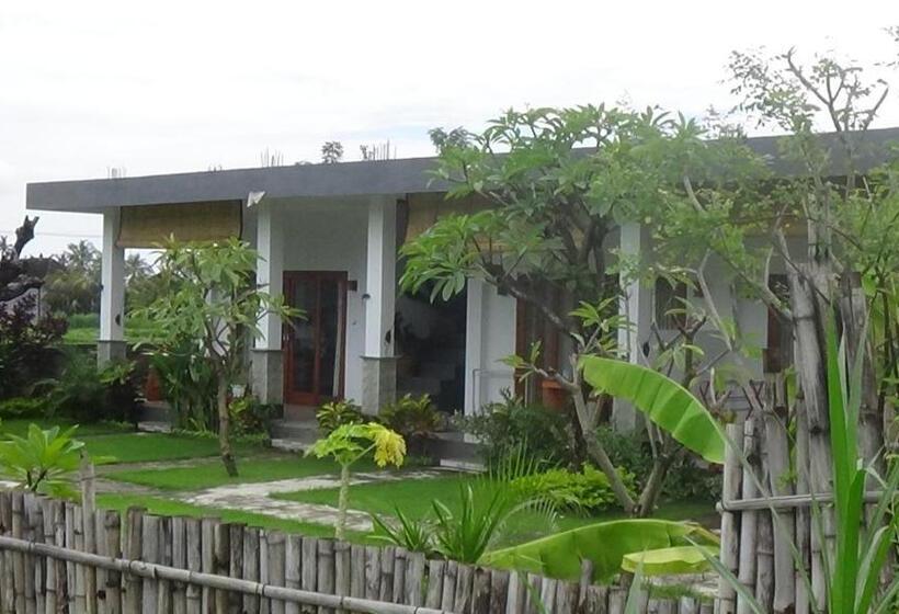 فندق صغير Agung Inn Amed