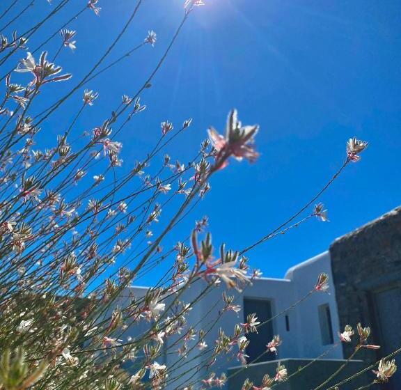 민박 Aegean Hospitality