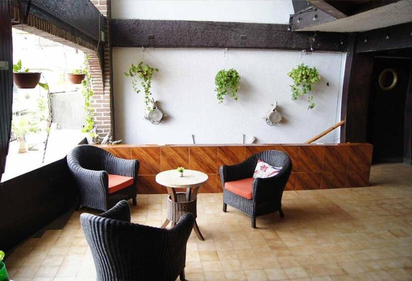 Cabo Tortuga Hotel Boutique