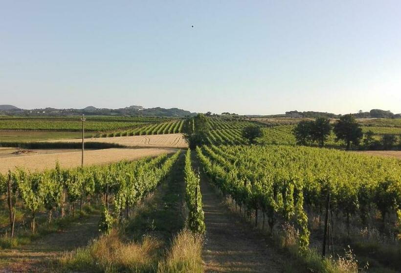 酒店 Agriturismo La Chiesina