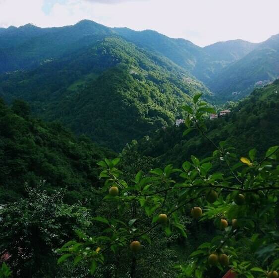 בית מלון כפרי Begi Apart Bungalov