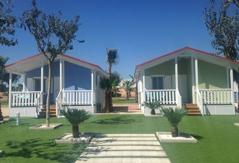 호텔 Camping Lo Monte