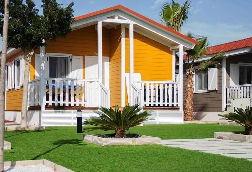 호텔 Camping Lo Monte