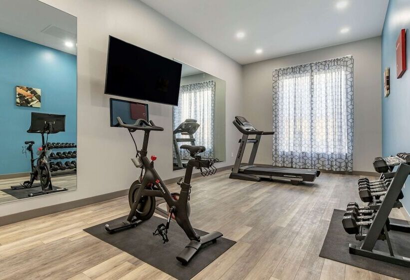 فندق Comfort Suites Greenville Airport