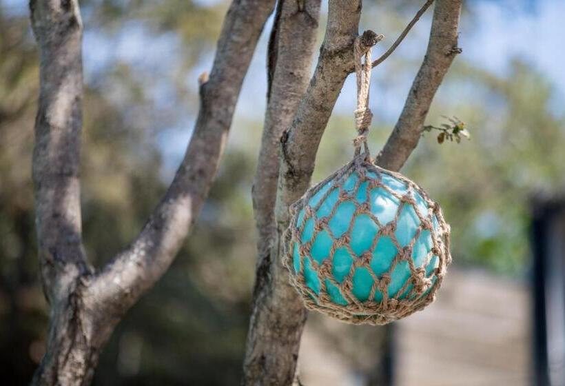 酒店 Le Lodge Des Iles D Or