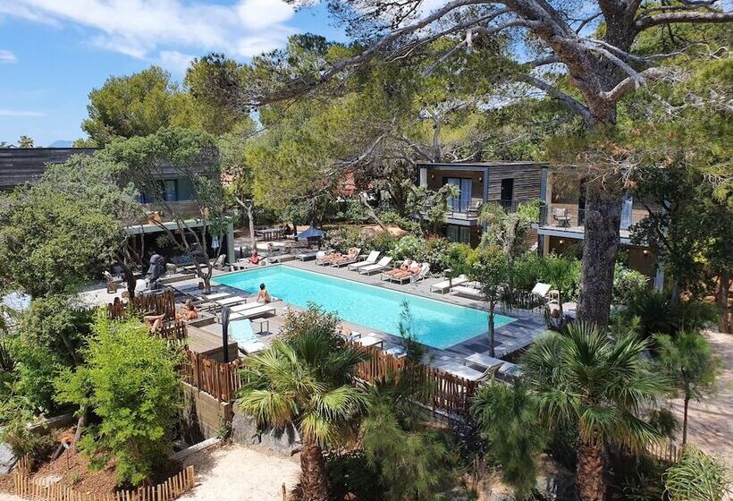 酒店 Le Lodge Des Iles D Or