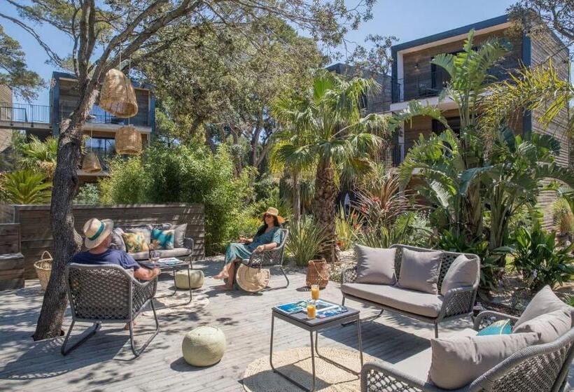 酒店 Le Lodge Des Iles D Or