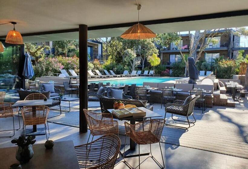 酒店 Le Lodge Des Iles D Or