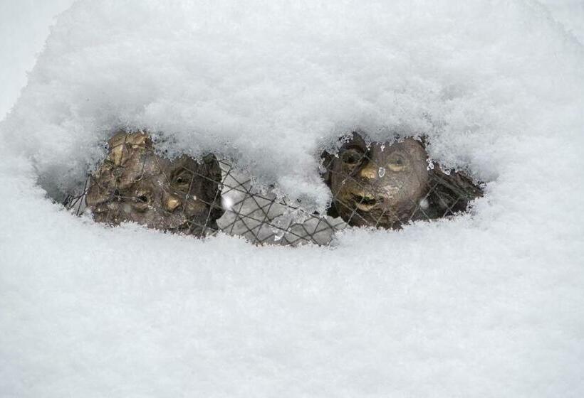 فندق Garni Das Pallottihaus Wien