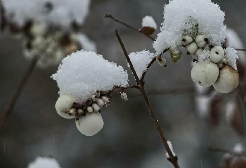 فندق Garni Das Pallottihaus Wien