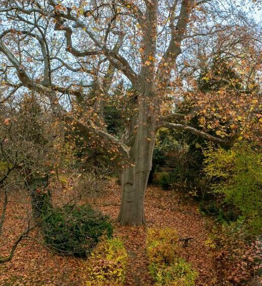 فندق Garni Das Pallottihaus Wien