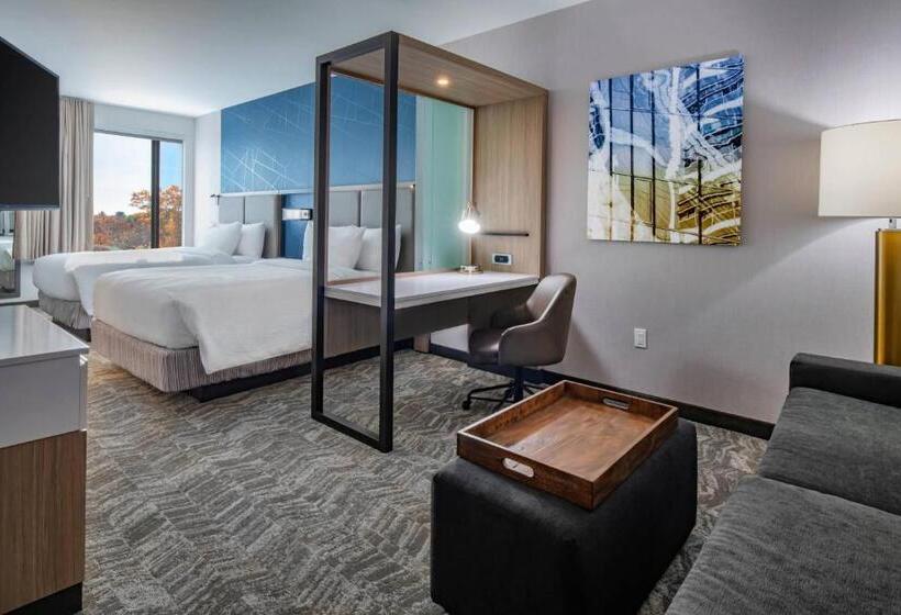 ホテル Springhill Suites By Marriott Wrentham Plainville
