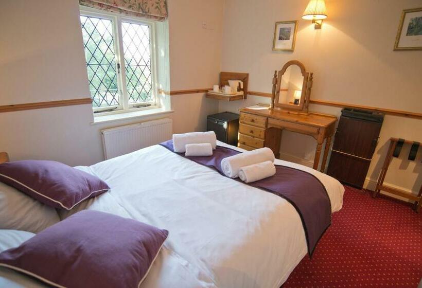 هاستل Rose Of York