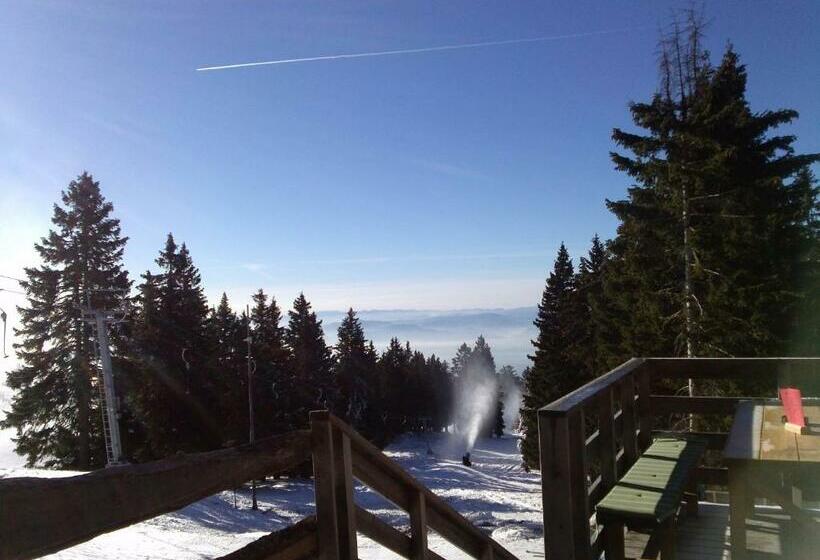 تختخواب و صبحانه Accommodation And Restaurant Tia