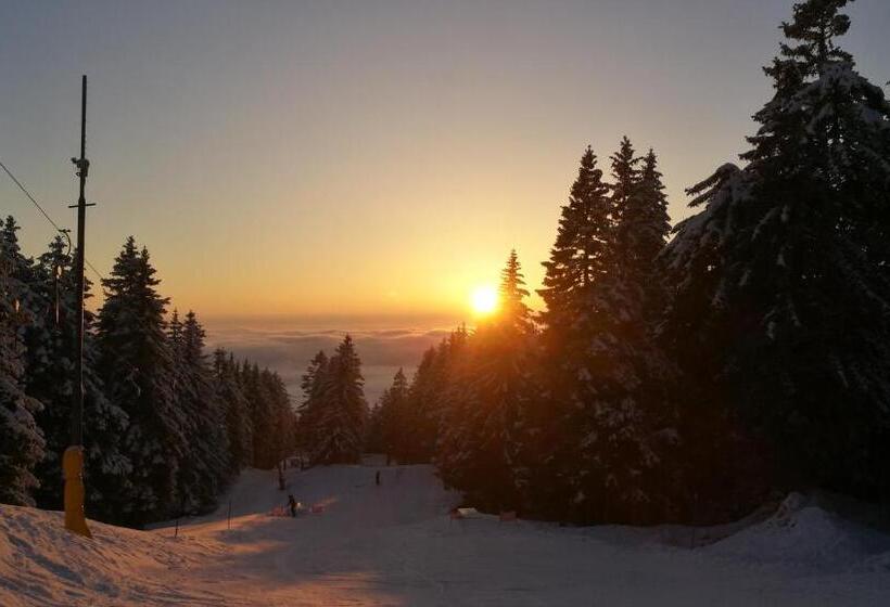 تختخواب و صبحانه Accommodation And Restaurant Tia