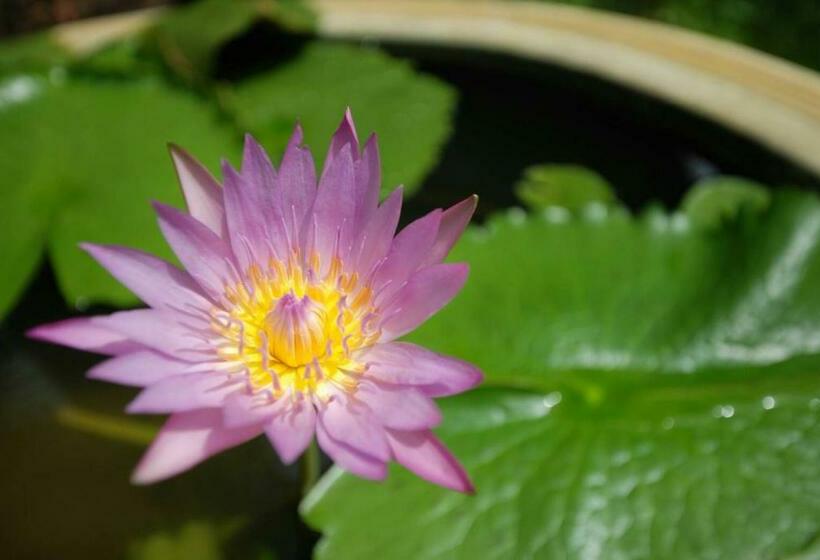 酒店 Baan Kiang Chan Resort