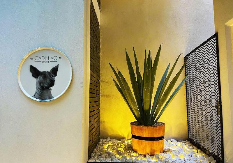 Cadillac Hotel Boutique