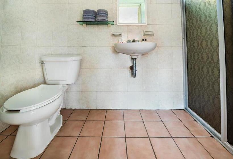 酒店 Capital O Colón, Ciudad Guzmán Jalisco