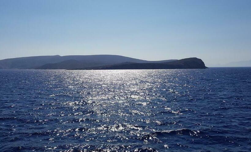 ホテル Hôtel L Alsace Gare Sncf