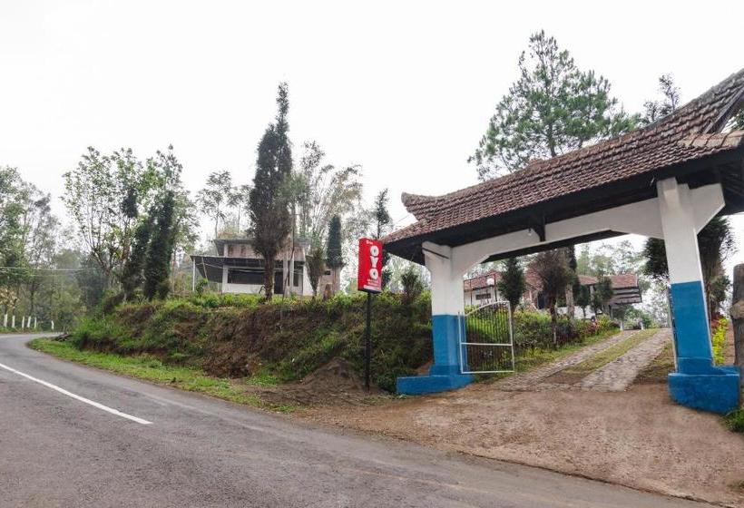 בית מלון כפרי Oyo 1852 Intan Bromo Residence