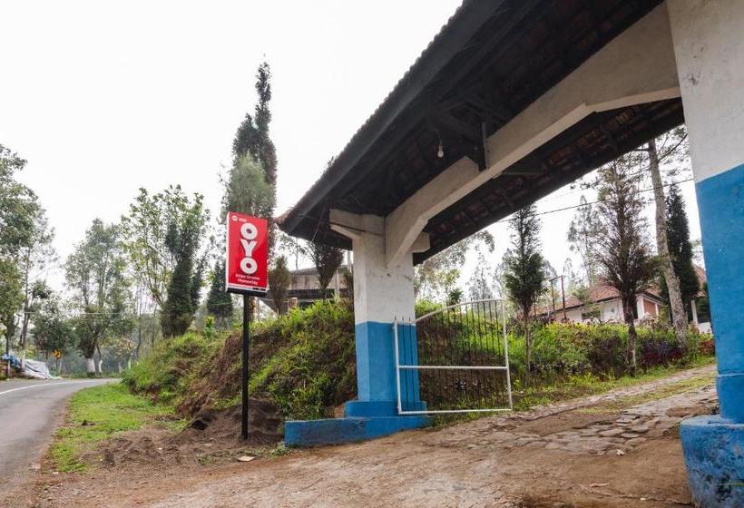 בית מלון כפרי Oyo 1852 Intan Bromo Residence