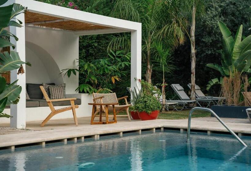 ölüdeniz Blu Luxury Unique Hotel   Adults Only