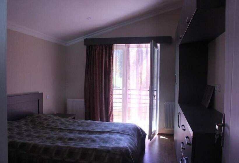 پانسیون Villa Bakuriani