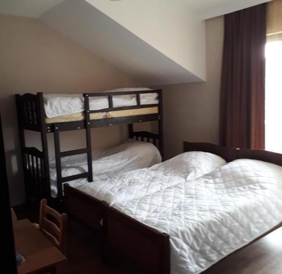 پانسیون Villa Bakuriani