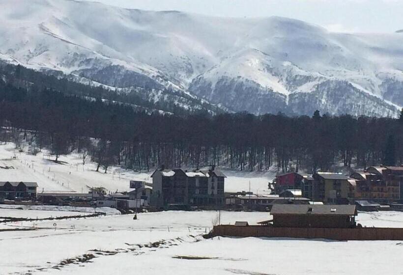 پانسیون Villa Bakuriani