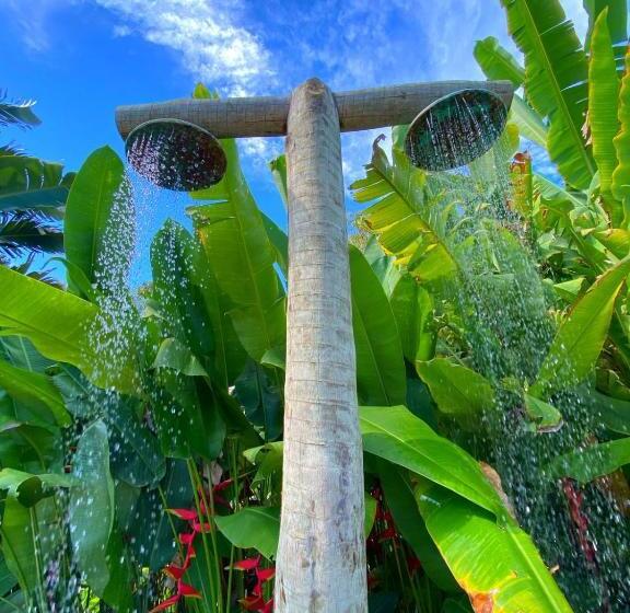 ペンション Villa Dos Nativos Boutique