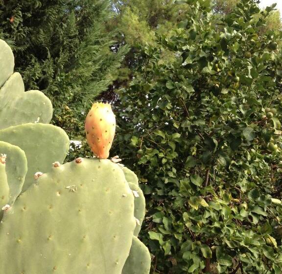 Villaggio Sant'andrea