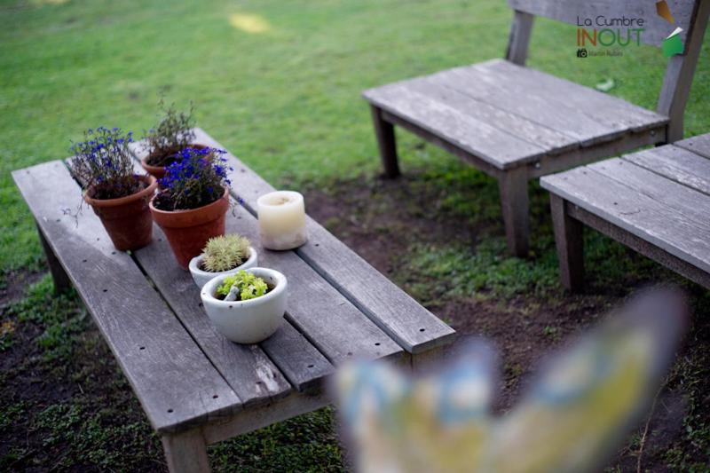 فندق صغير Posada La Diamela