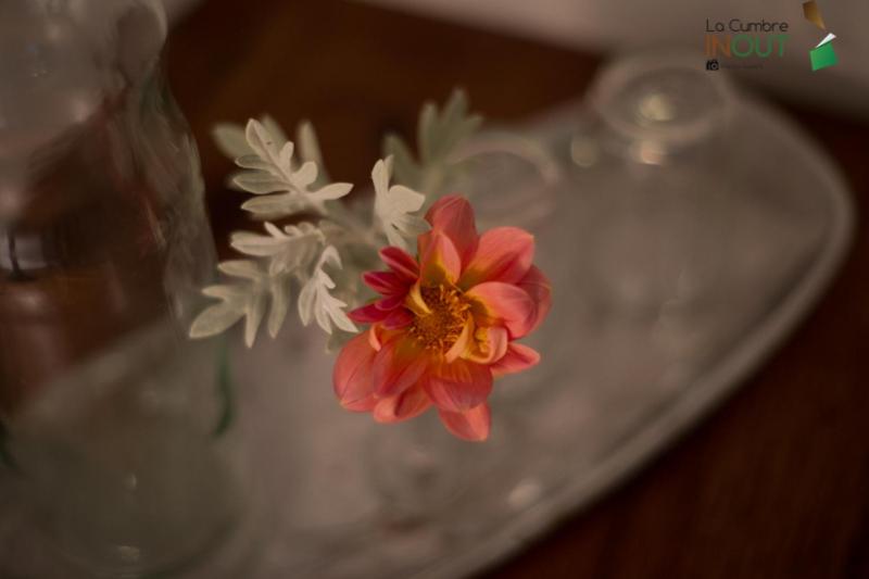 فندق صغير Posada La Diamela