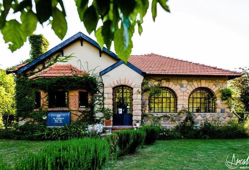 فندق صغير Posada La Diamela