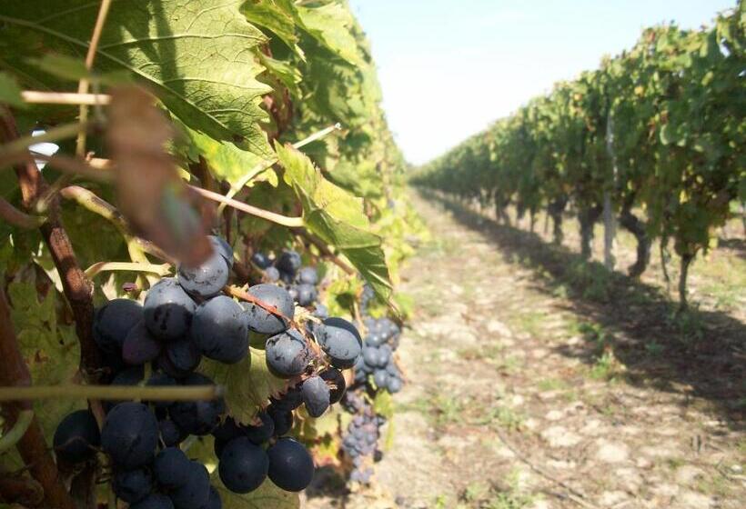 مبيت وإفطار Loire, Châteaux, Et Vignes