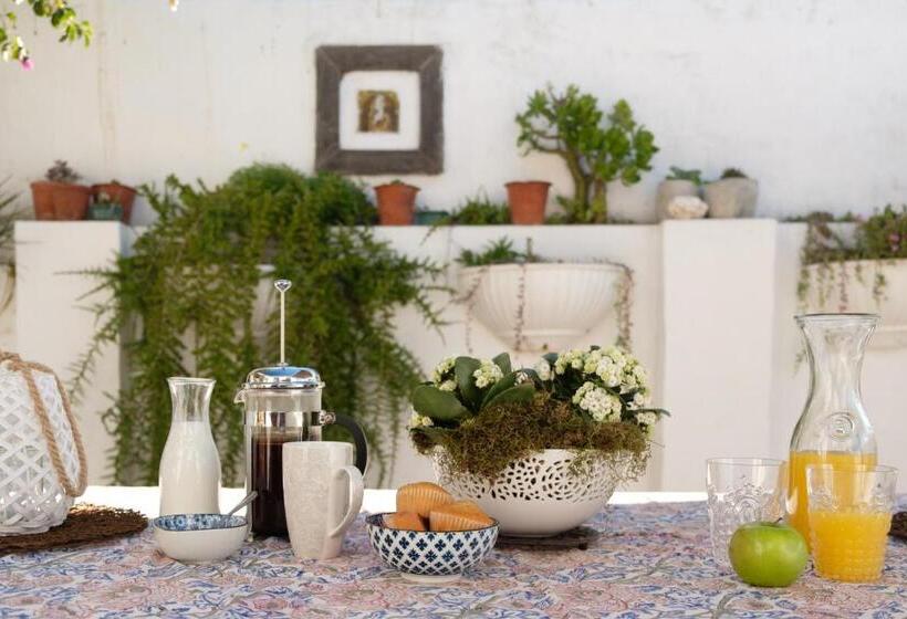 مبيت وإفطار Smugglers' Bnb